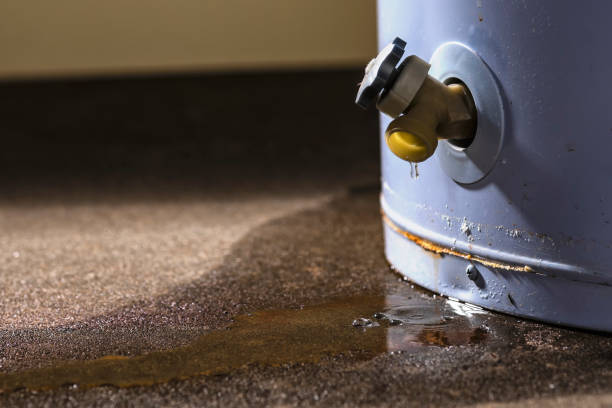 Best Commercial water damage restoration  in Painesville, OH