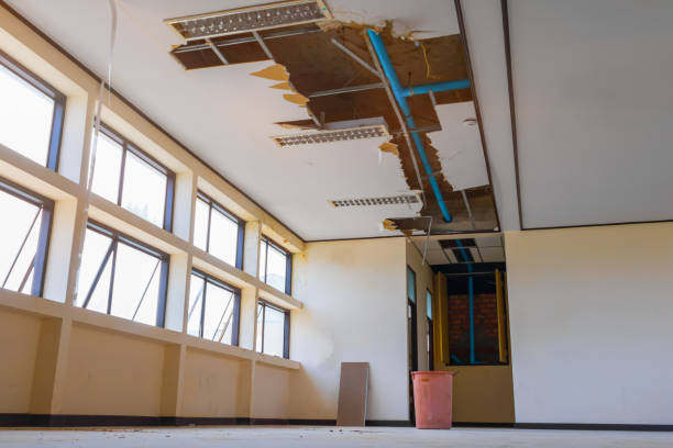 Best Residential water damage restoration  in Painesville, OH