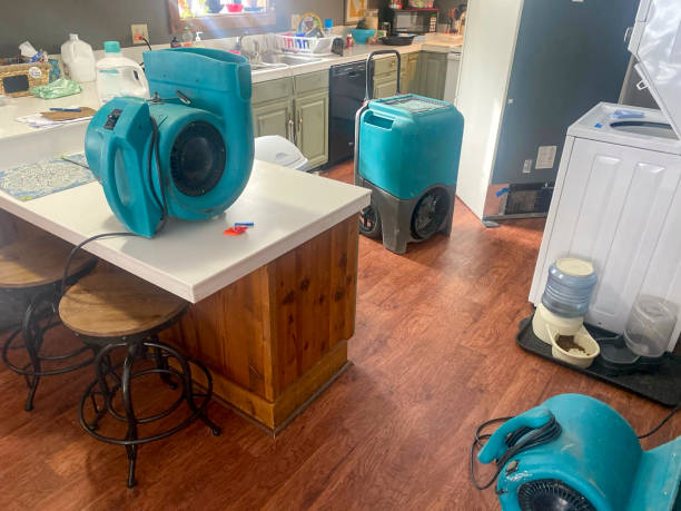  Painesville, OH Water damage restoration Pros