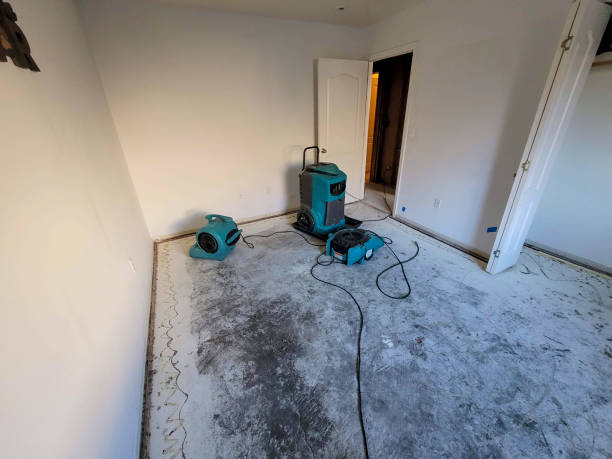 Best Emergency water damage restoration  in Painesville, OH