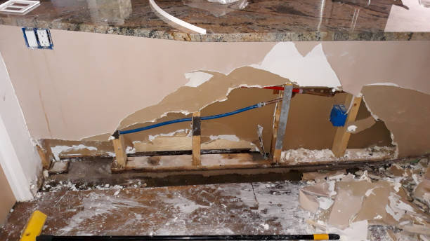 Best Water damage contractors near me  in Painesville, OH