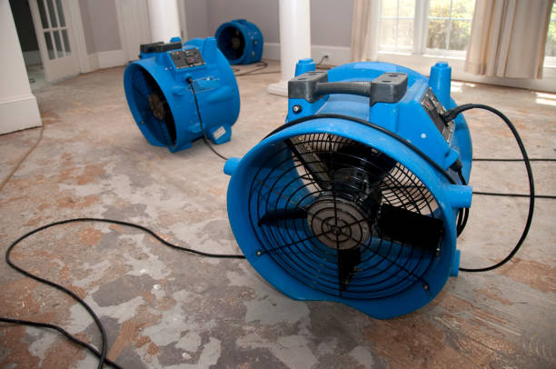 Trusted Painesville, OH Water damage restoration Experts